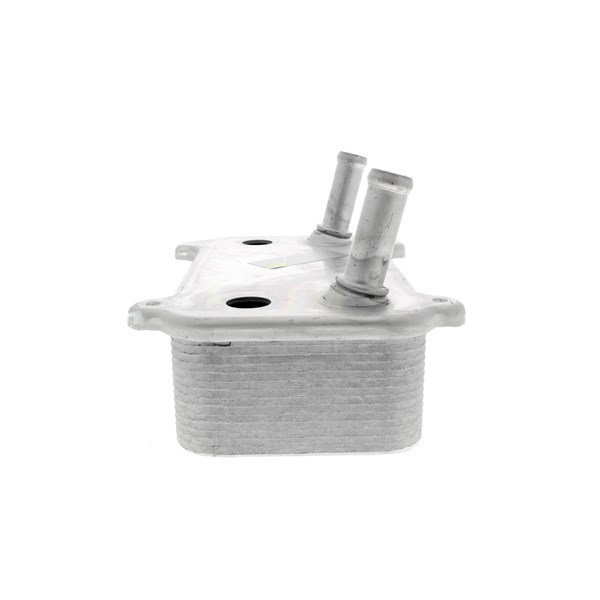 Oljekylare, motor
