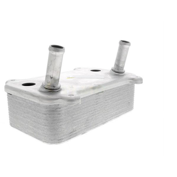 Oljekylare, motor Oljekylare, motor