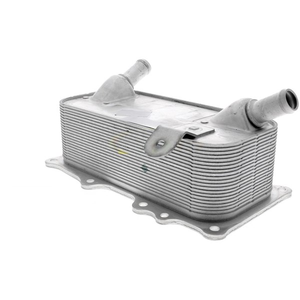 Oljekylare, motor