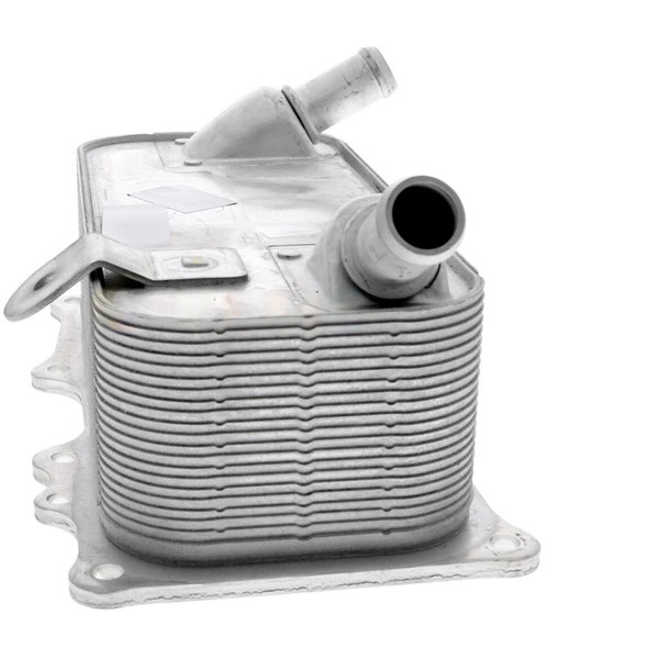 Oljekylare, motor