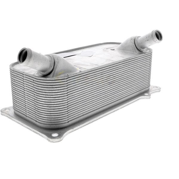 Oljekylare, motor