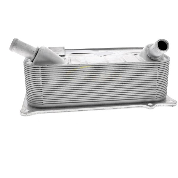 Oljekylare, motor