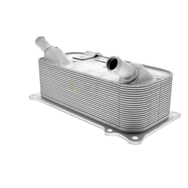 Oljekylare, motor