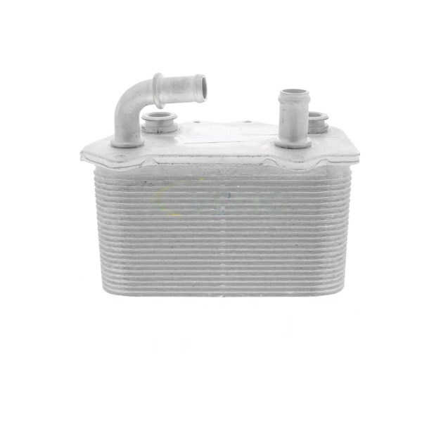 Oljekylare, motor Oljekylare, motor