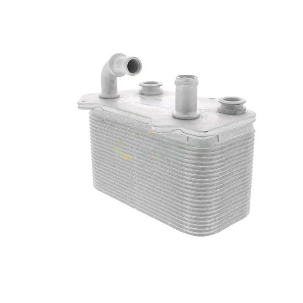 Oljekylare, motor