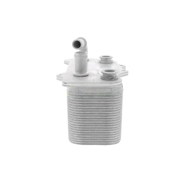 Oljekylare, motor Oljekylare, motor