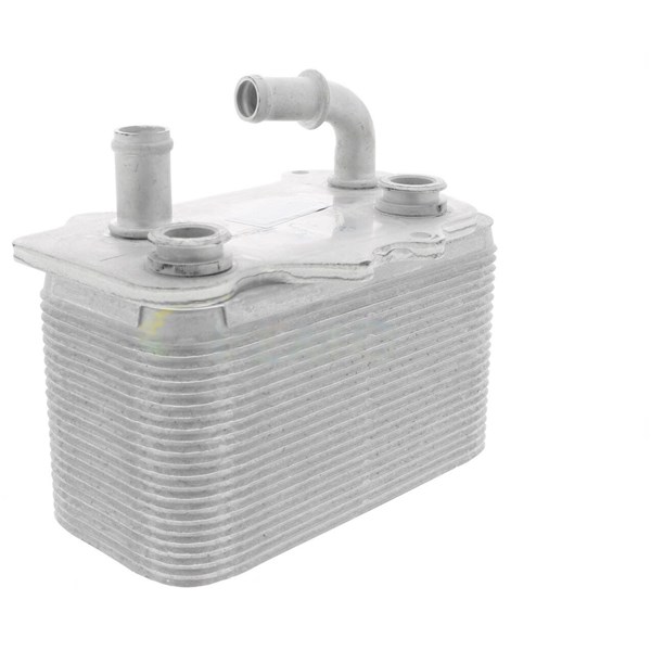 Oljekylare, motor