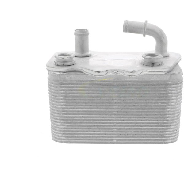 Oljekylare, motor Oljekylare, motor