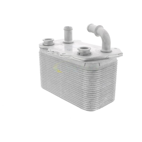 Oljekylare, motor Oljekylare, motor