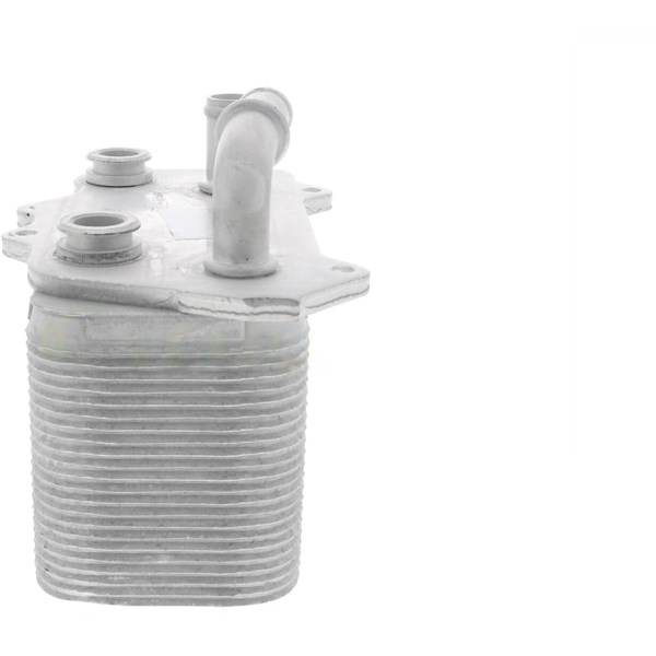 Oljekylare, motor Oljekylare, motor