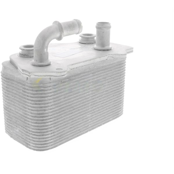 Oljekylare, motor