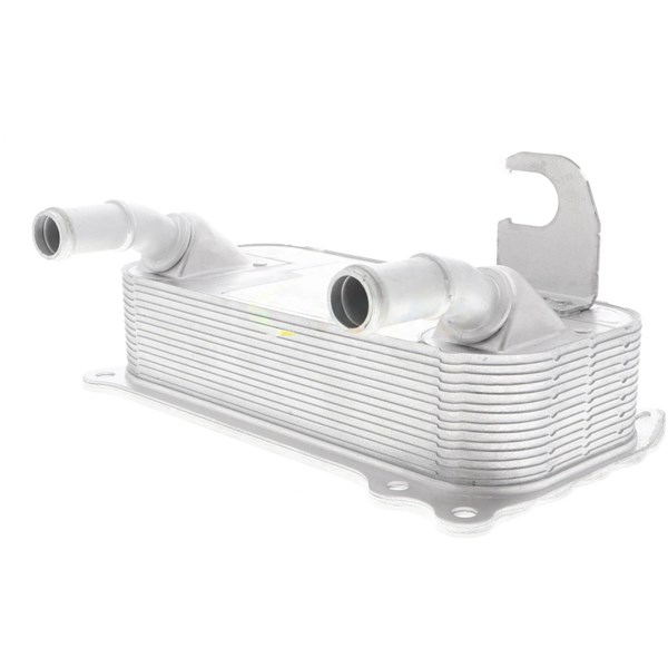 Oljekylare, motor Oljekylare, motor