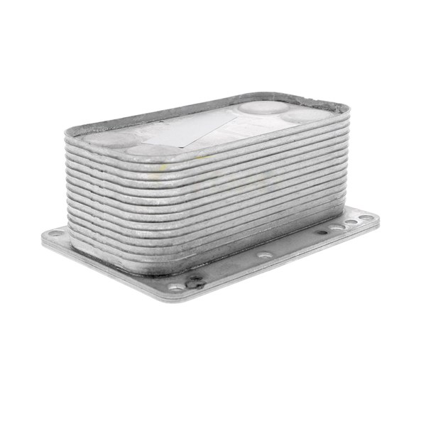 Oljekylare, motor