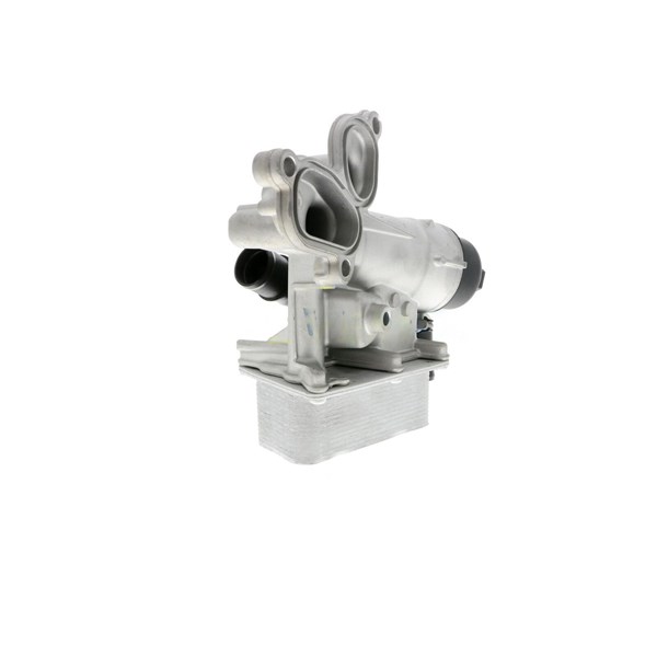 Oljekylare, motor