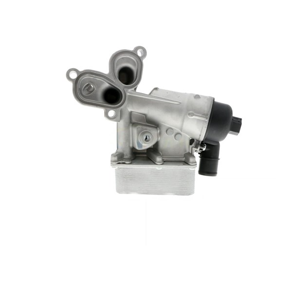 Oljekylare, motor