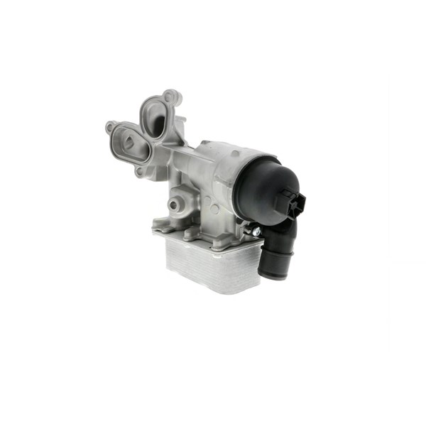 Oljekylare, motor