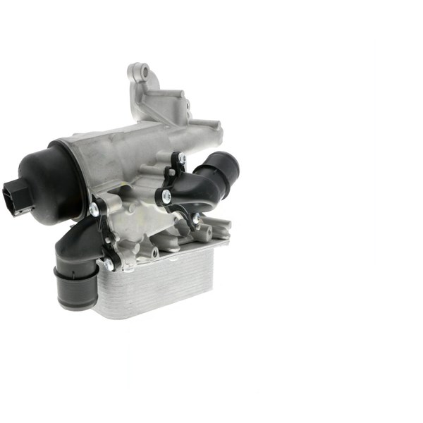 Oljekylare, motor