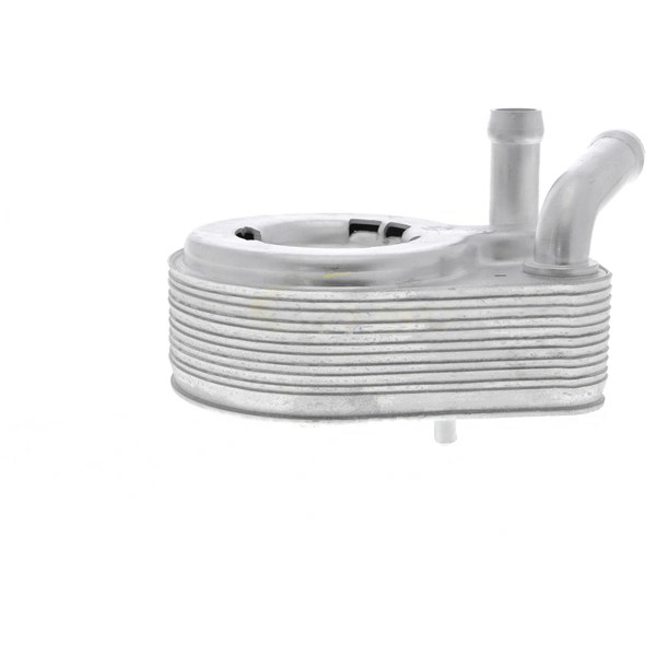 Oljekylare, motor