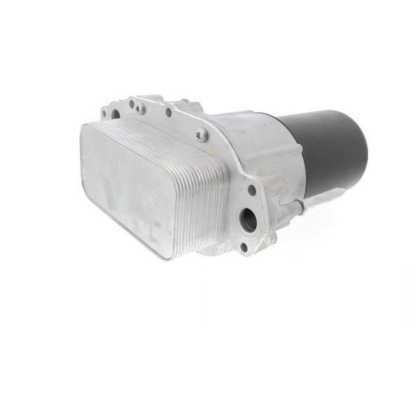 Oljekylare, motor Oljekylare, motor