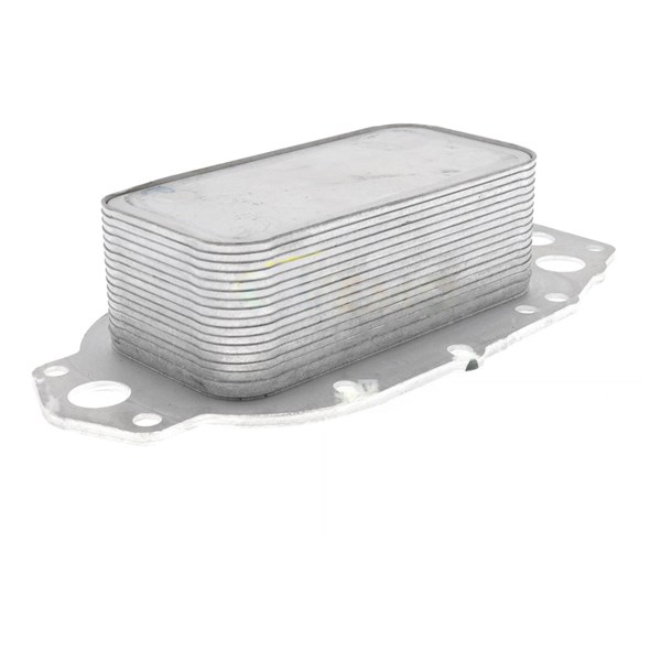Oljekylare, motor
