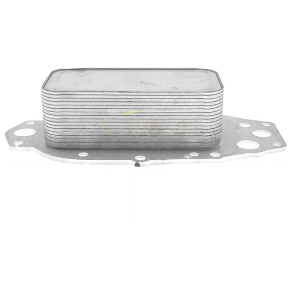 Oljekylare, motor