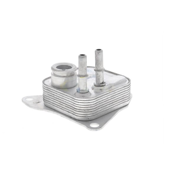 Oljekylare, motor