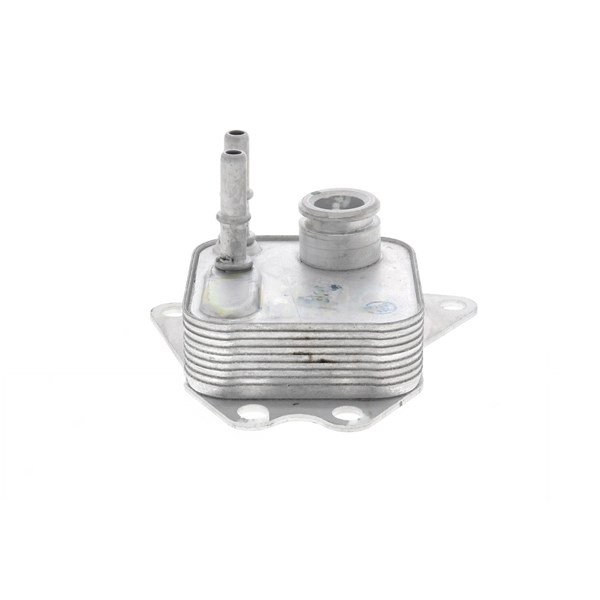 Oljekylare, motor