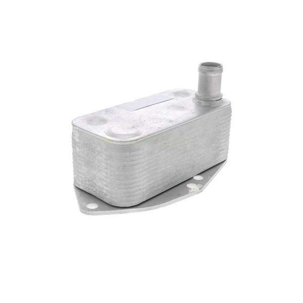 Oljekylare, motor