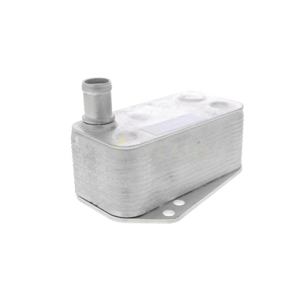 Oljekylare, motor