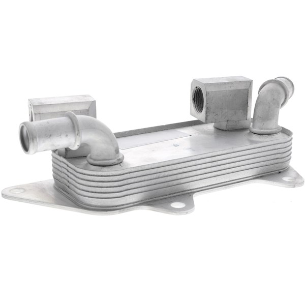 Oljekylare, motor