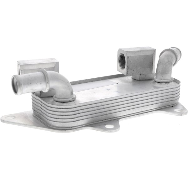Oljekylare, motor