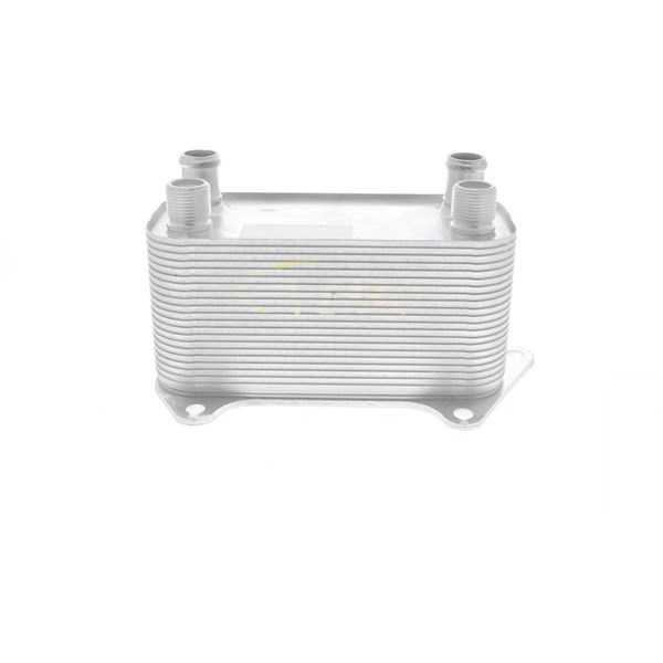 Oljekylare, motor