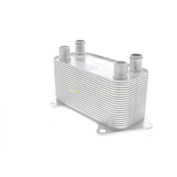 Oljekylare, motor