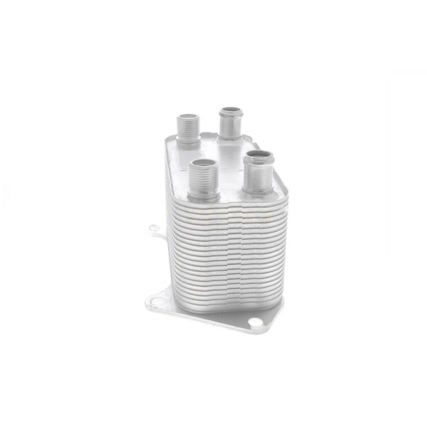 Oljekylare, motor