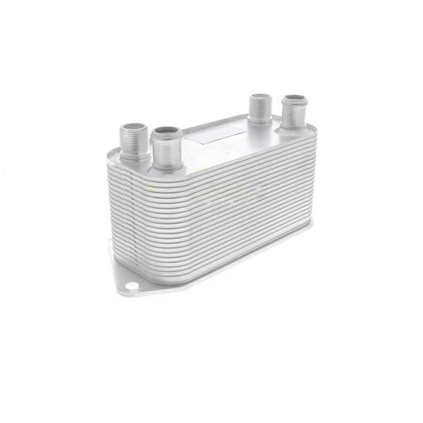 Oljekylare, motor