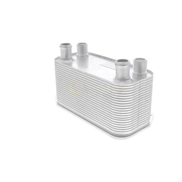 Oljekylare, motor