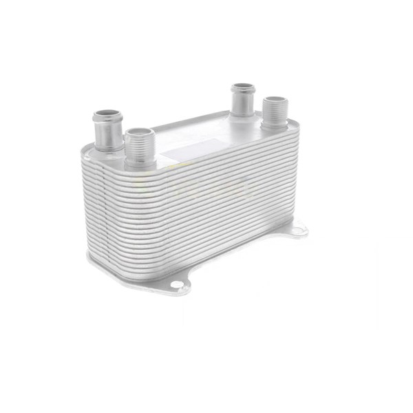 Oljekylare, motor