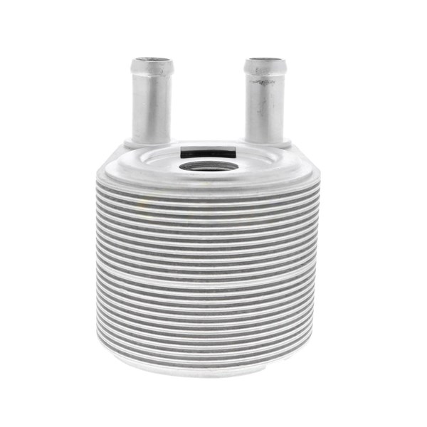 Oljekylare, motor