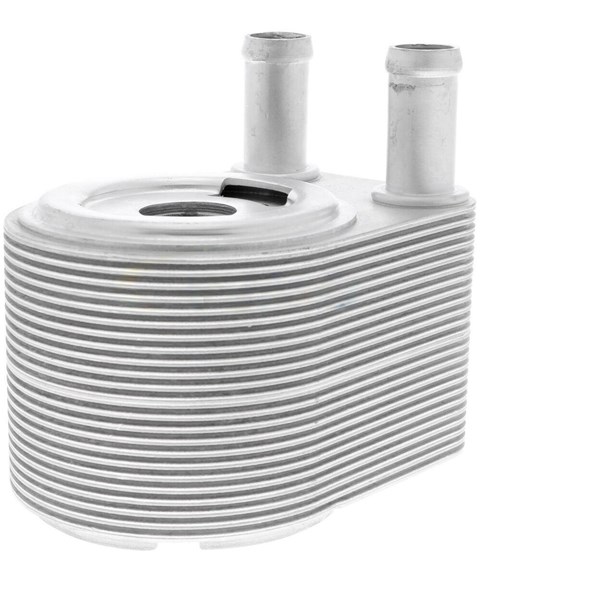 Oljekylare, motor