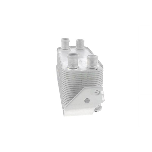 Oljekylare, motor