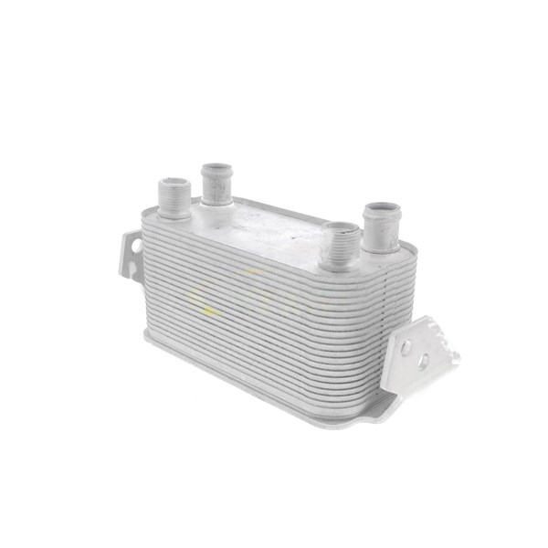 Oljekylare, motor