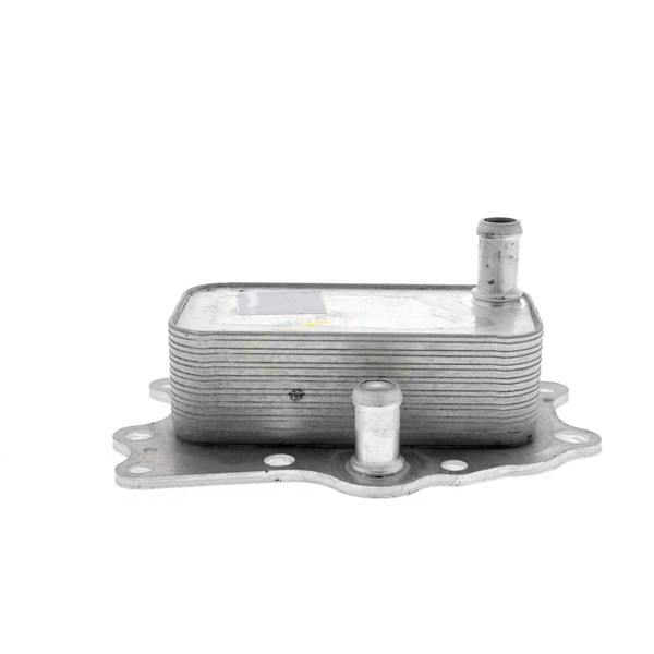 Oljekylare, motor