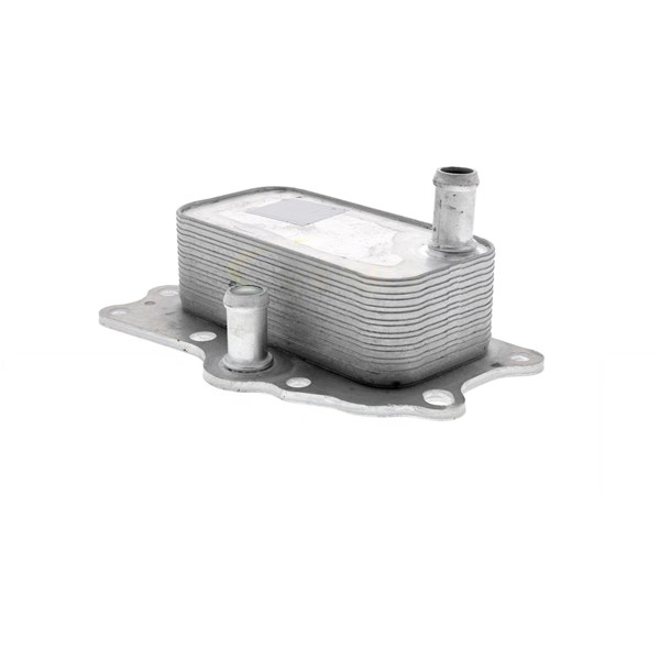 Oljekylare, motor