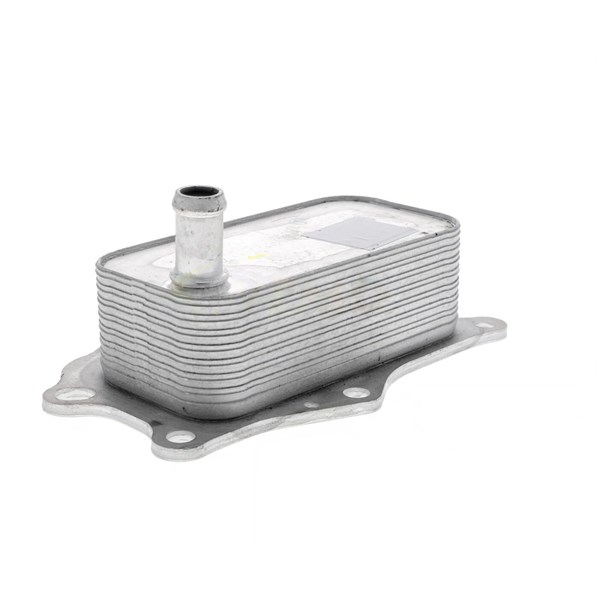 Oljekylare, motor