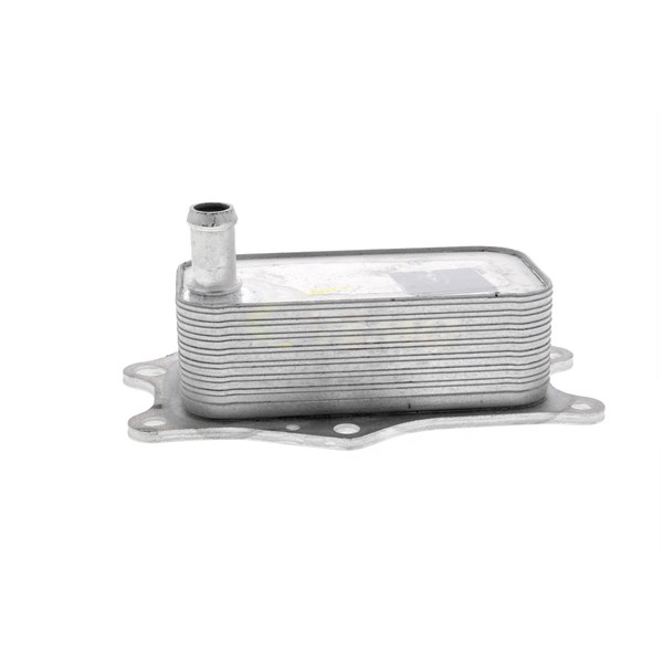 Oljekylare, motor