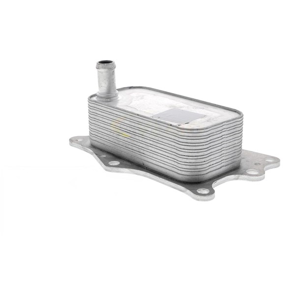 Oljekylare, motor