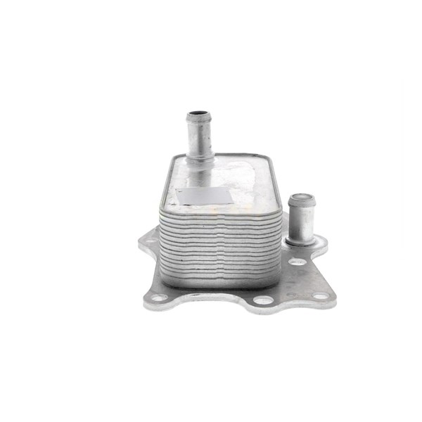 Oljekylare, motor