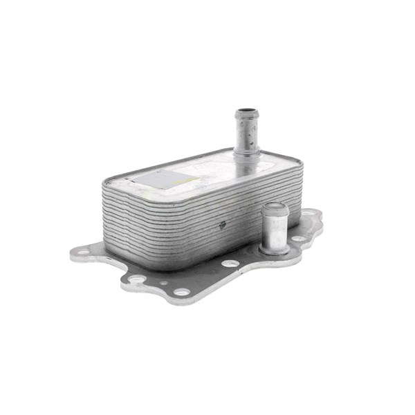 Oljekylare, motor Oljekylare, motor