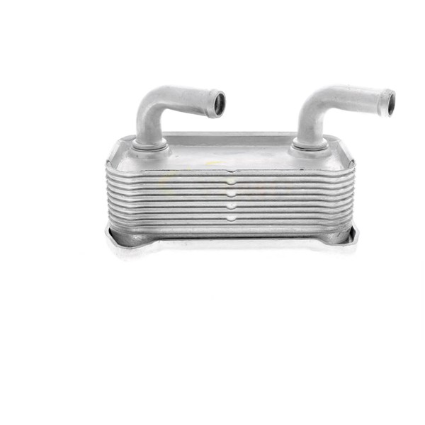 Oljekylare, motor