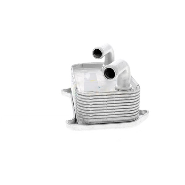 Oljekylare, motor